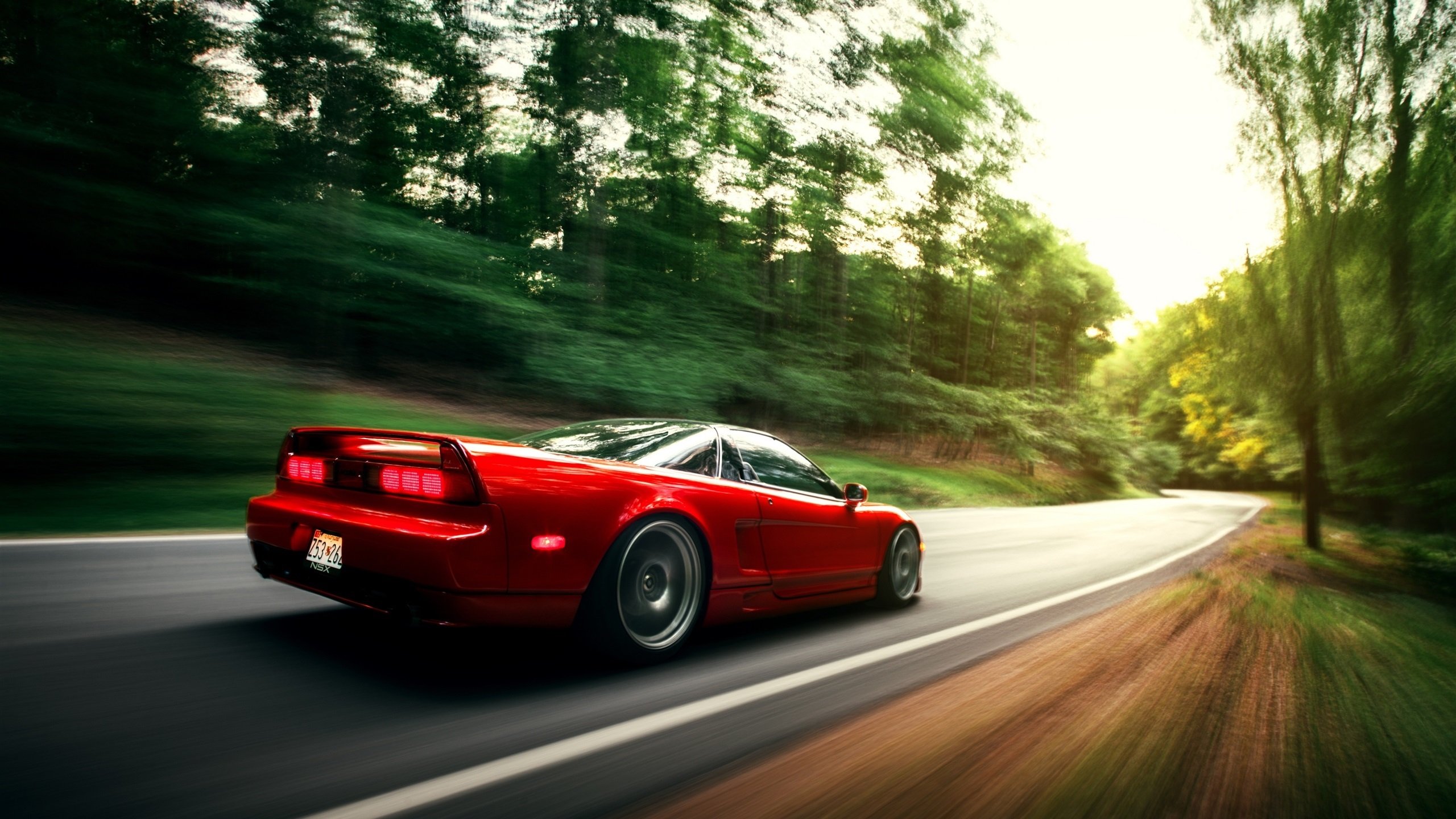 国家游泳队训练成果显著，成绩节节攀升，国家游泳队训练管理信息系统