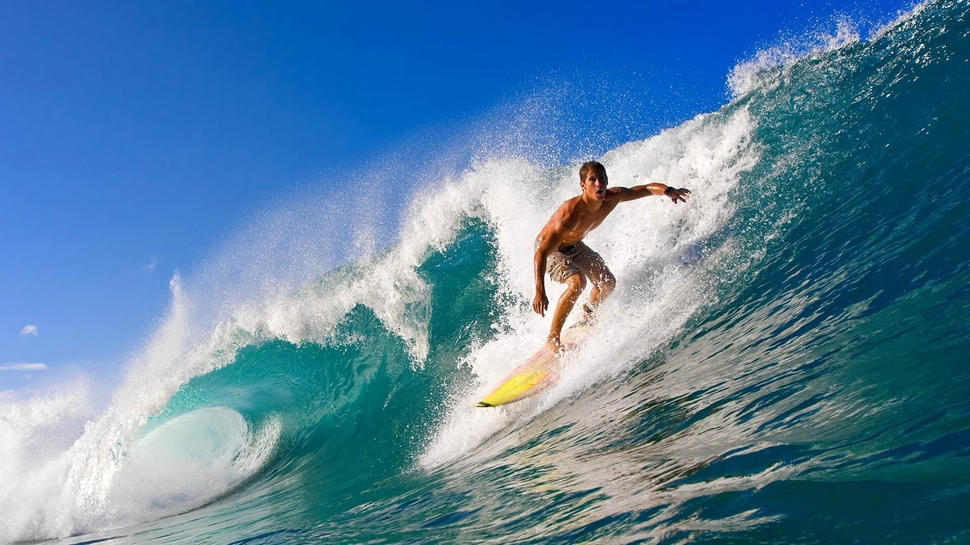 澳洲队精准换泳成就胜利关键，澳洲游泳冠军